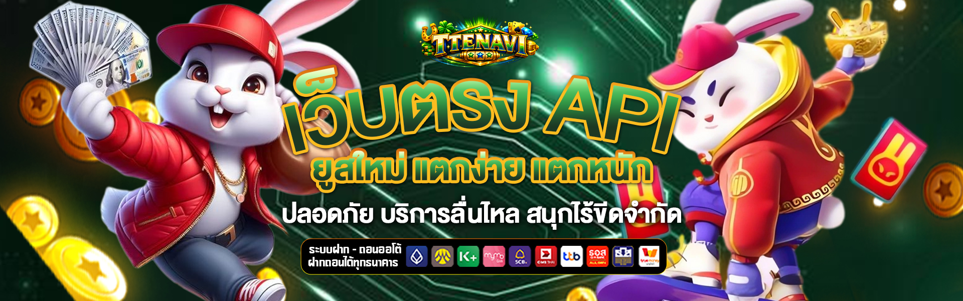 เว็บตรง-API tte-navi